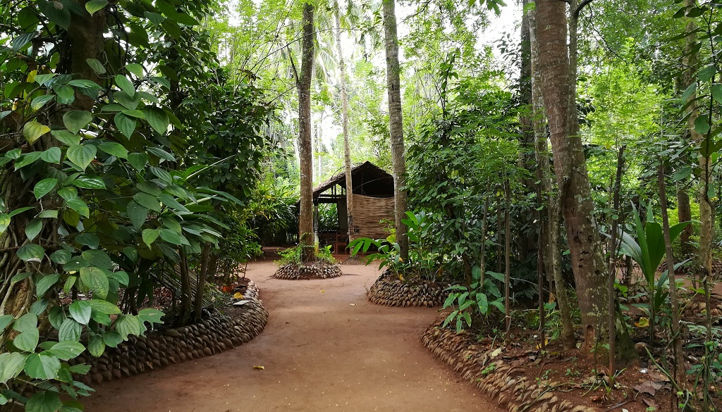 Mawanella Spice Garden in Sri Lanka featuring winding dirt pathways, lush green tropical vegetation, tall trees, and traditional gazebo structure